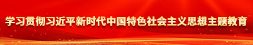 大屌肏处女学习贯彻习近平新时代中国特色社会主义思想主题教育